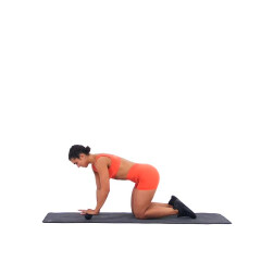 Wrist Self-Myofascial Release 
  loading=