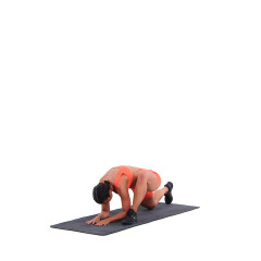 World's Greatest Stretch 
  loading=