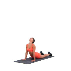 Cobra Stretch 
  loading=