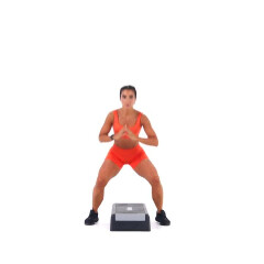 Aerobic Step In-Out Squat Jump 
  loading=