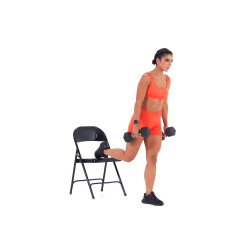 Dumbbell Bulgarian Split Squat 
  loading=